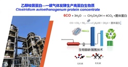 重大突破！中國(guó)農(nóng)科院首次實(shí)現(xiàn)從一氧化碳到蛋白質(zhì)的合成，并形成萬(wàn)噸級(jí)工業(yè)產(chǎn)能